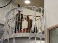 IMG 1761