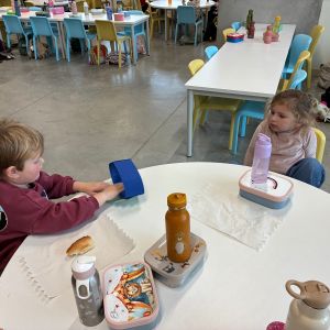 jarige pauwen van november