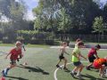 IMG 20260629 093419