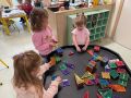 IMG 1337