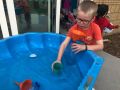 IMG 1508