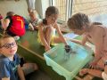 67e39fce 22fc 4e22 90a6 d900844e1da78