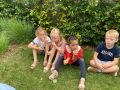 IMG 2561
