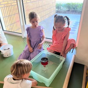 operatie zuiver water bij oc en po