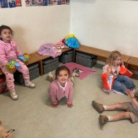IMG 0810