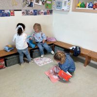IMG 0856