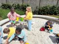 IMG 2351