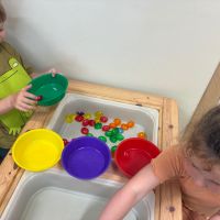 IMG 2515