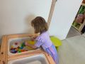 IMG 2518