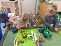 IMG 2781