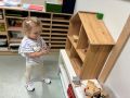 IMG 2784