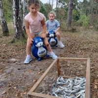IMG 20260903 111819