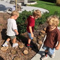 IMG 2688