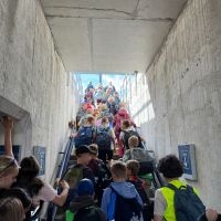 IMG 5564