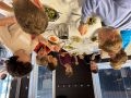 IMG 5569