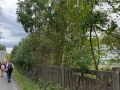 IMG 5901