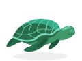 schildpad Zstip1