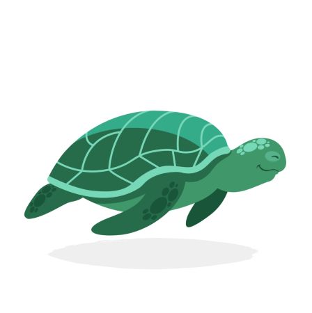 schildpad Zstip1