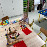 IMG 6679