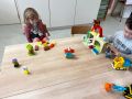 IMG 6534