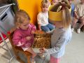 IMG 6597
