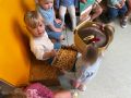 IMG 6598