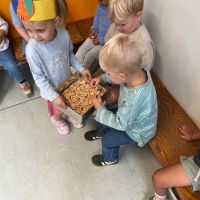 IMG 6604