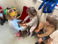 IMG 6607