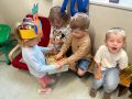 IMG 6608