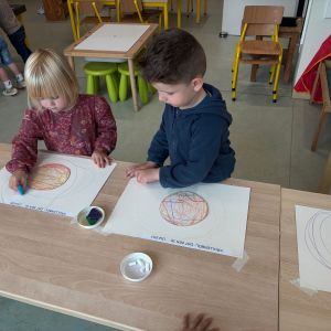 Krullenbol bij uil en pauw