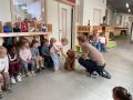 IMG 5052