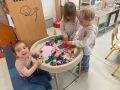 IMG 5178
