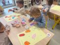 IMG 5179