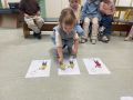 IMG 5185