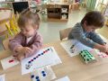 IMG 5039