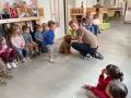 IMG 5048