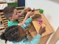 IMG 3209