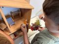 IMG 3071