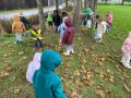 IMG 5236