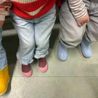 IMG 3518