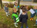 IMG 3553