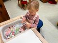 IMG 6789