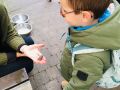 IMG 3426
