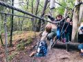 IMG 3462