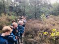 IMG 3477