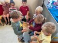 IMG 6846