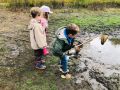 IMG 3496