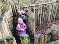 IMG 3526