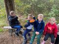 IMG 4124
