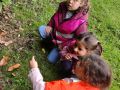 IMG 20261019 132122